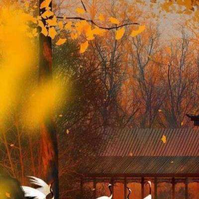 良渚国家考古遗址公园：生动展现五千年前璀璨文明